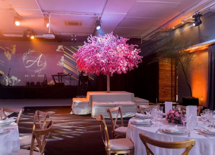 festa de luxo alphaville (4)